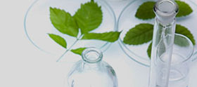 R&D for Products Derived from Natural Ingredients